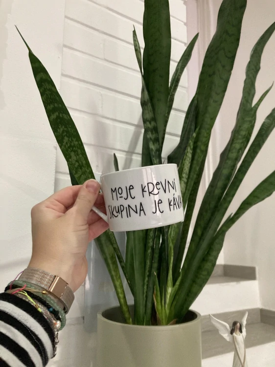 Hrníček "moje krevní skupina"