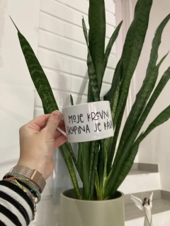 Hrníček "moje krevní skupina"
