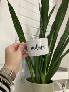 Hrníček "miluju"